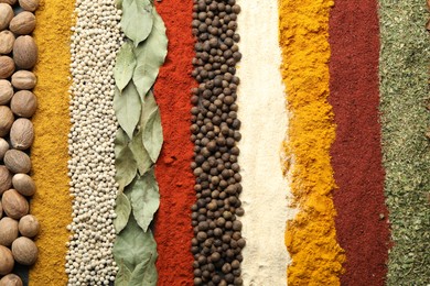 Photo of Many different spices as background, top view