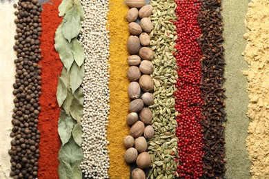 Photo of Many different spices as background, top view