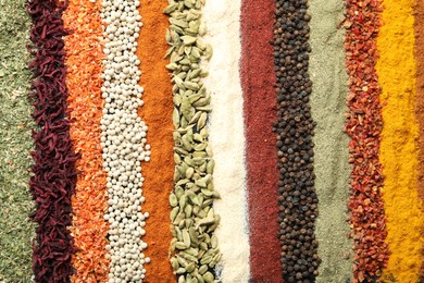 Photo of Many different spices as background, top view