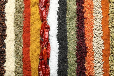 Photo of Many different spices as background, top view