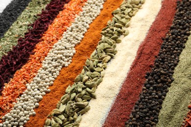 Photo of Many different spices as background, closeup view