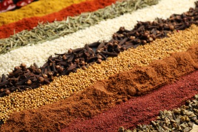Photo of Many different spices as background, closeup view