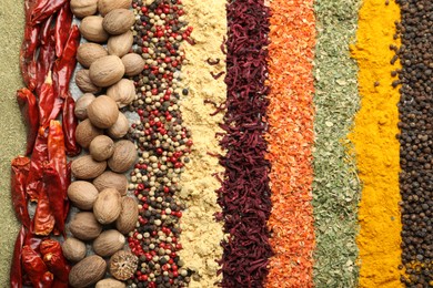 Photo of Many different spices as background, top view
