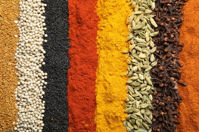 Photo of Many different spices as background, top view