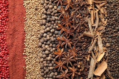 Photo of Many different spices as background, top view