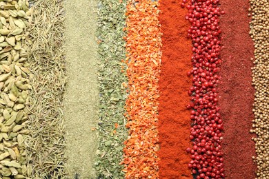 Photo of Many different spices as background, top view
