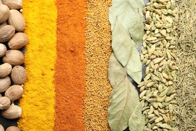 Photo of Many different spices as background, top view
