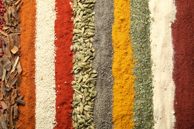 Photo of Many different spices as background, top view