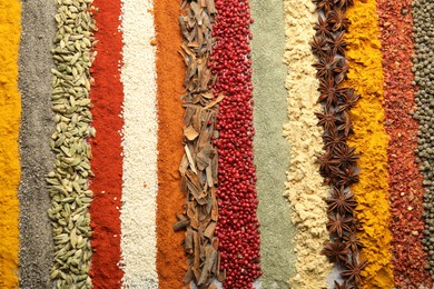 Photo of Many different spices as background, top view