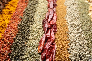 Photo of Many different spices as background, closeup view