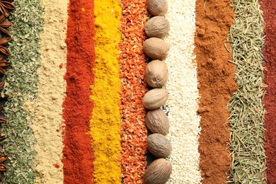 Photo of Many different spices as background, top view
