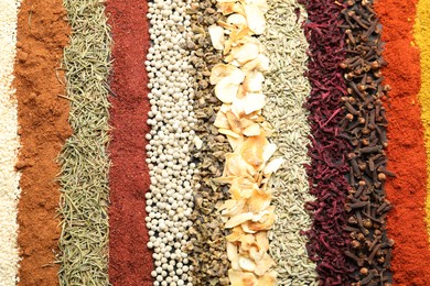 Photo of Many different spices as background, top view