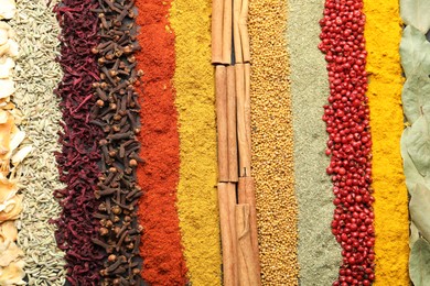 Photo of Many different spices as background, top view
