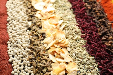 Photo of Many different spices as background, closeup view