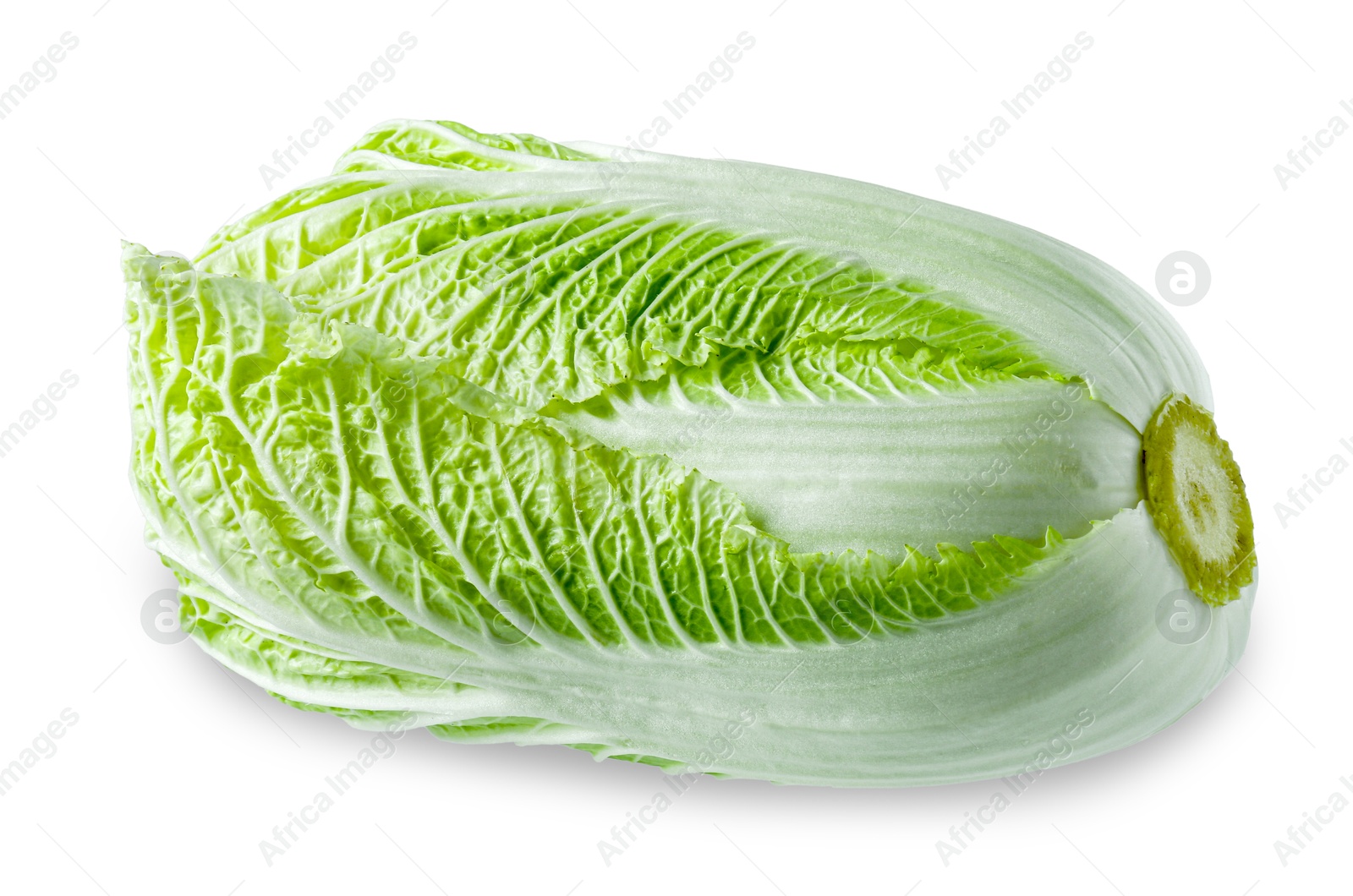 One fresh Chinese cabbage isolated on white Photo of One fresh Chinese cabbage isolated on white