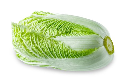 Photo of One fresh Chinese cabbage isolated on white