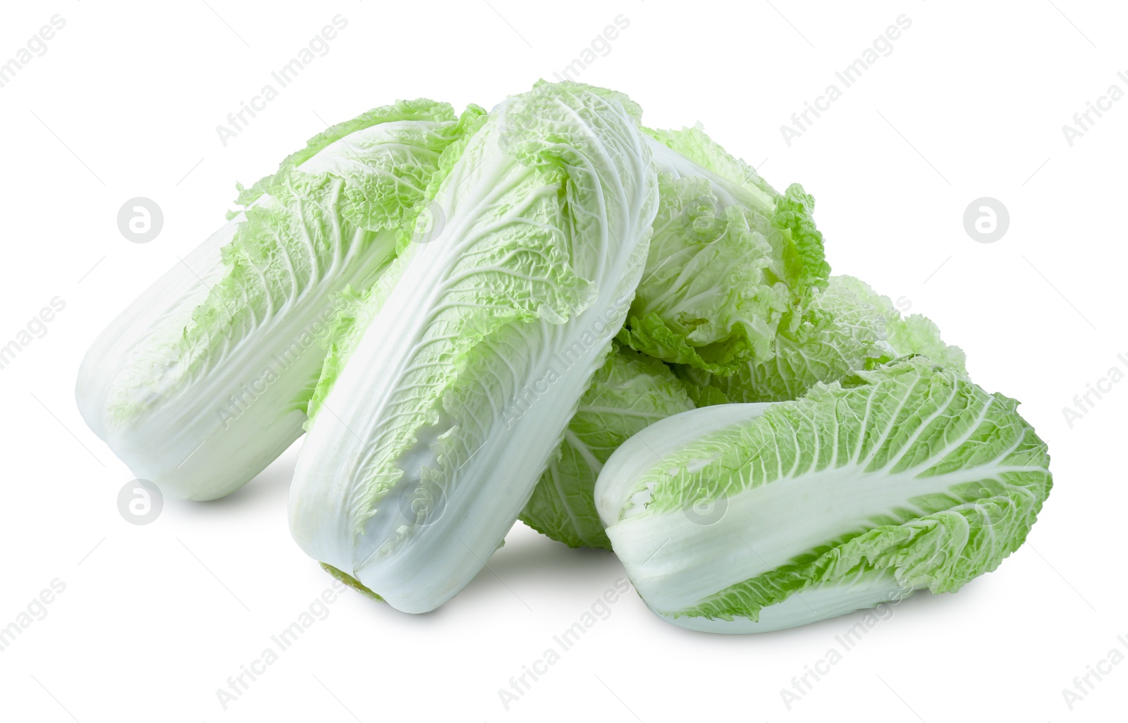 Many fresh Chinese cabbages isolated on white Photo of Many fresh Chinese cabbages isolated on white