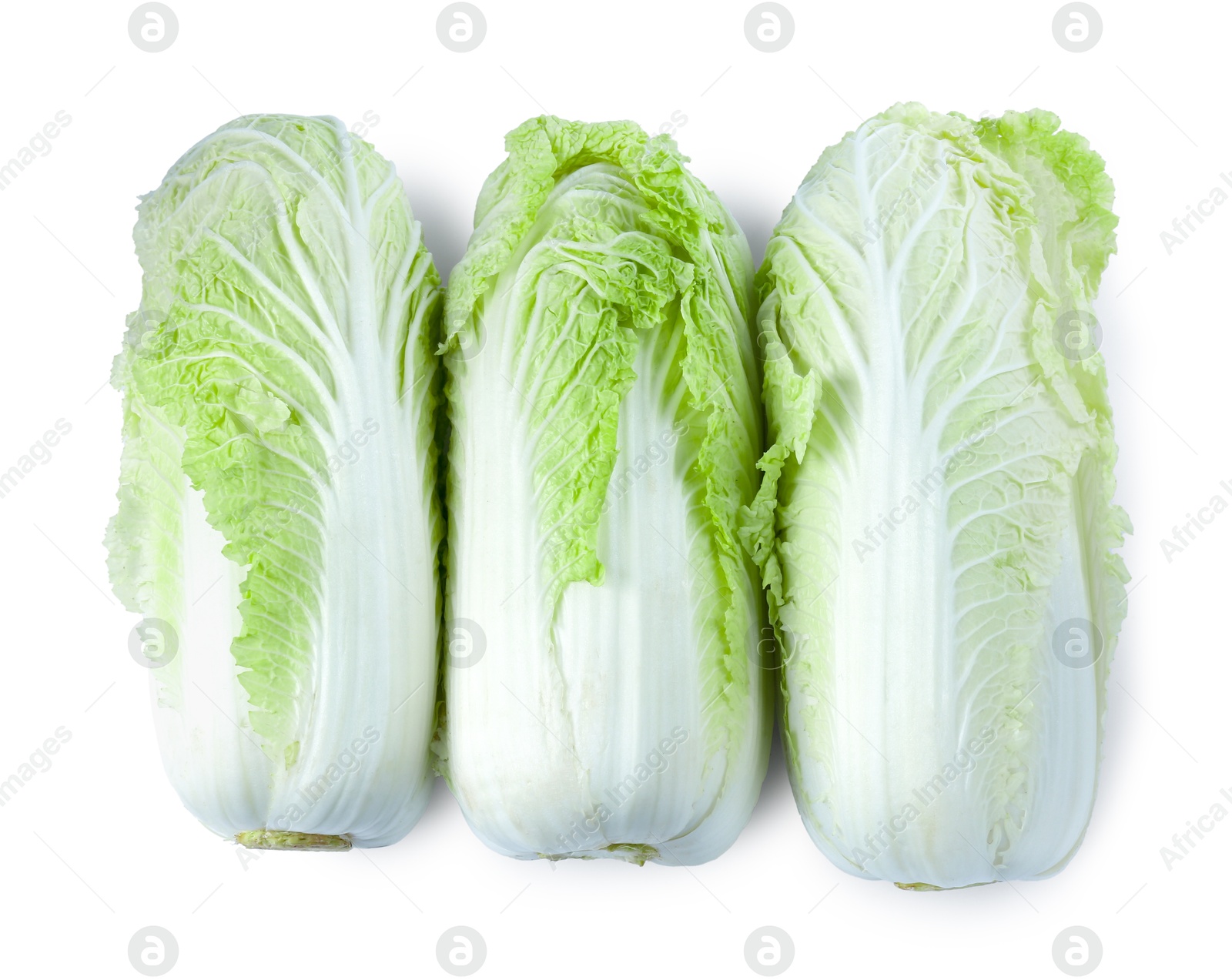 Three fresh Chinese cabbages isolated on white, top view Photo of Three fresh Chinese cabbages isolated on white, top view