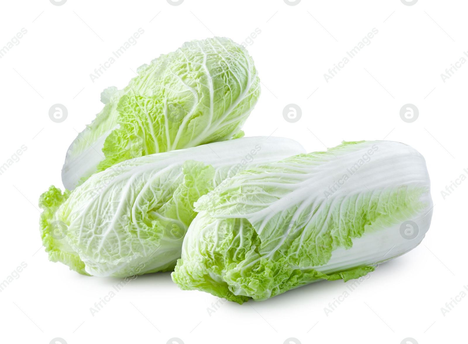 Three fresh Chinese cabbages isolated on white Photo of Three fresh Chinese cabbages isolated on white