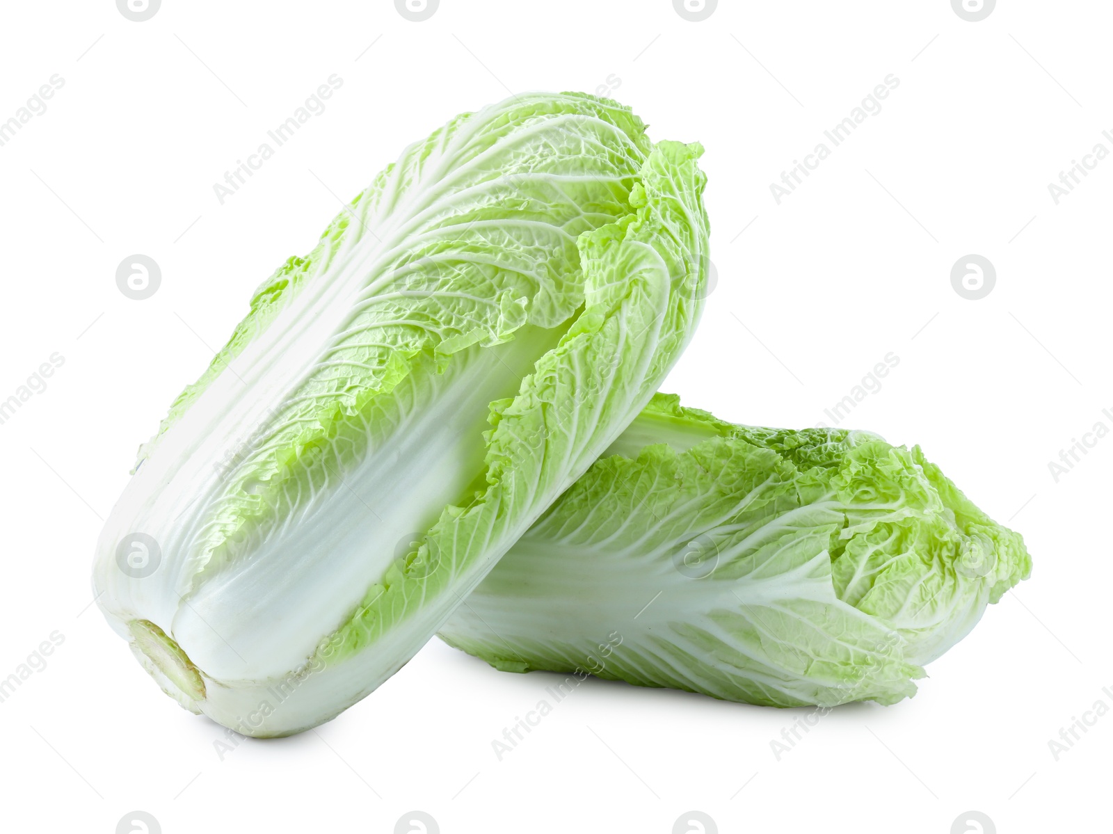 Two fresh Chinese cabbages isolated on white Photo of Two fresh Chinese cabbages isolated on white