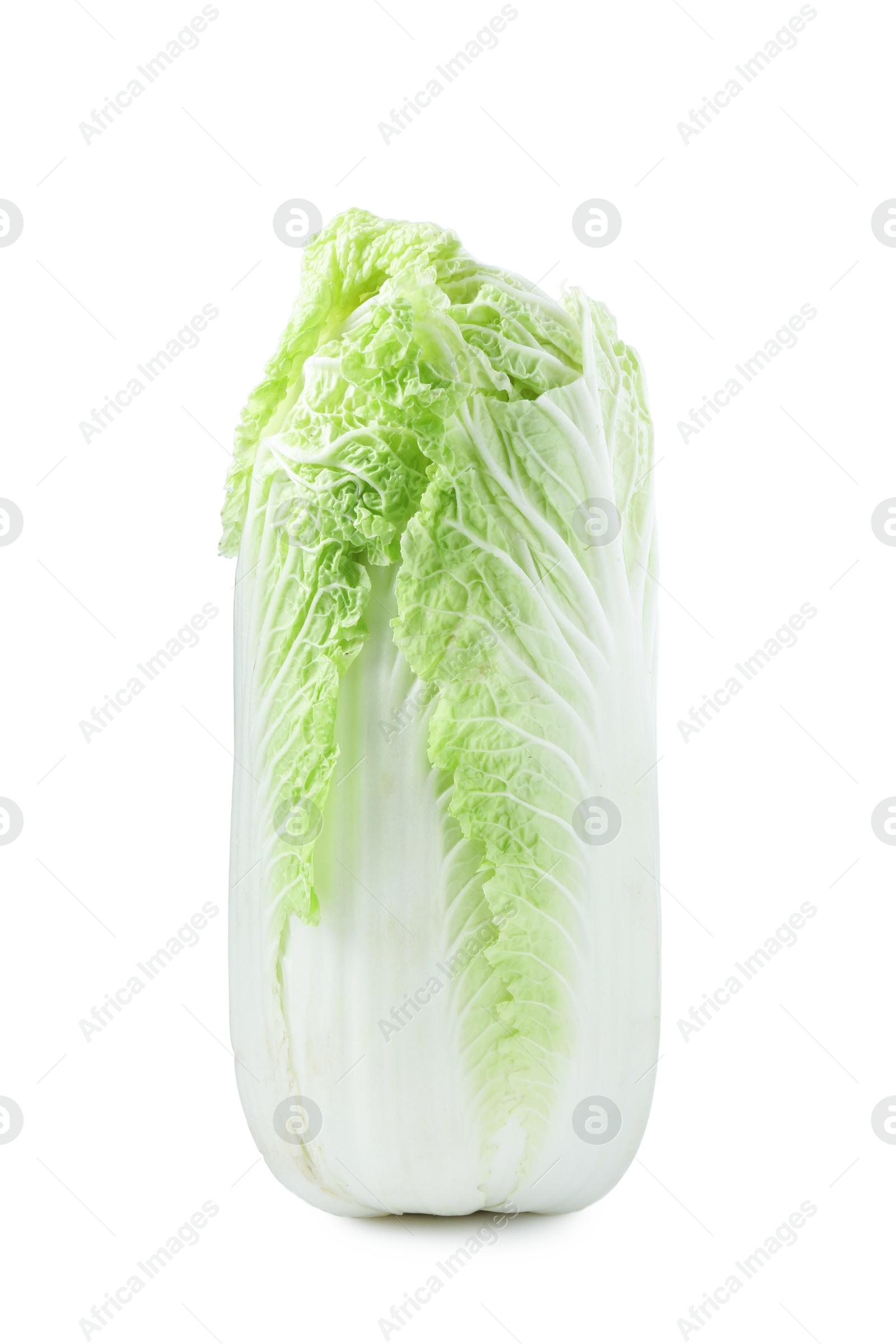 One fresh Chinese cabbage isolated on white Photo of One fresh Chinese cabbage isolated on white