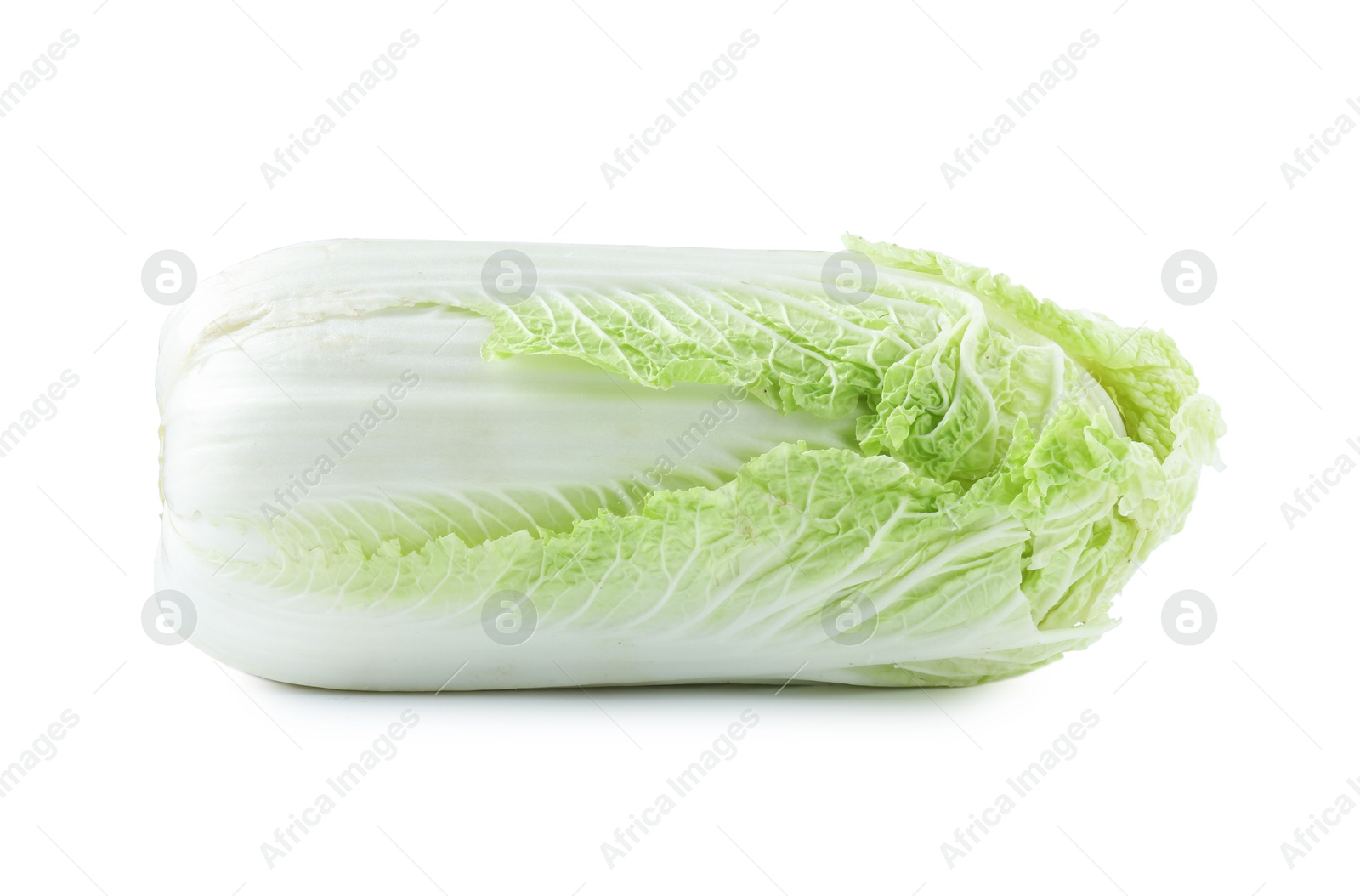 One fresh Chinese cabbage isolated on white Photo of One fresh Chinese cabbage isolated on white