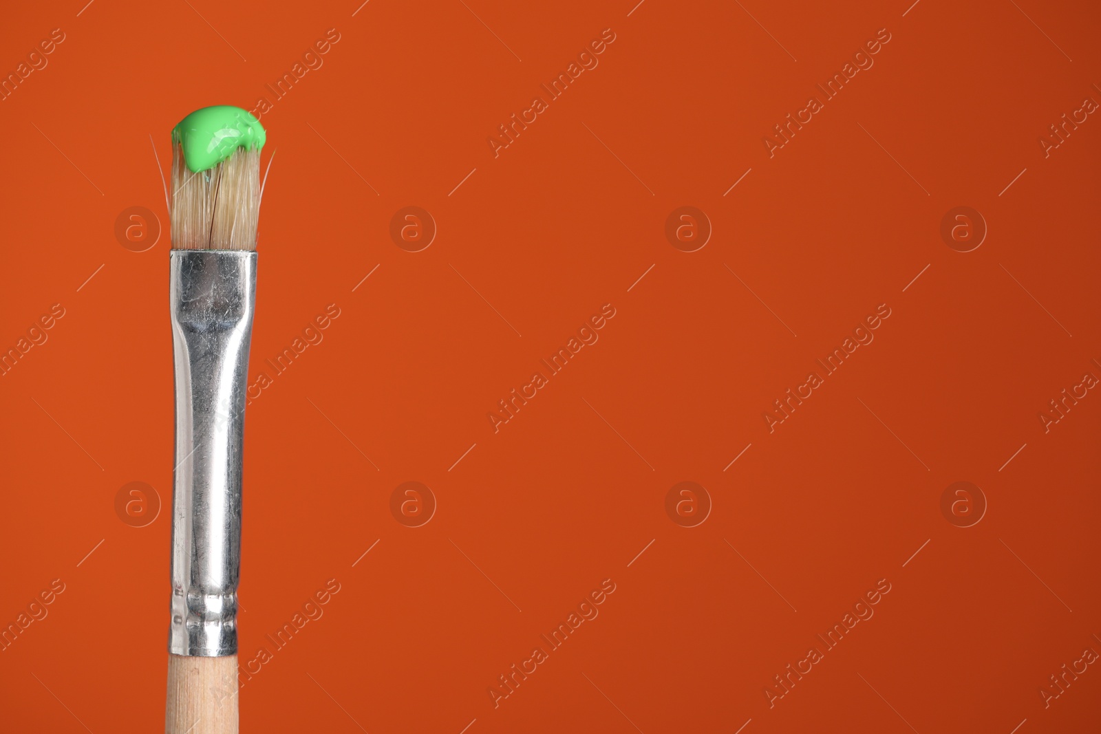 Brush with green paint on orange background, closeup. Space for text Photo of Brush with green paint on orange background, closeup. Space for text