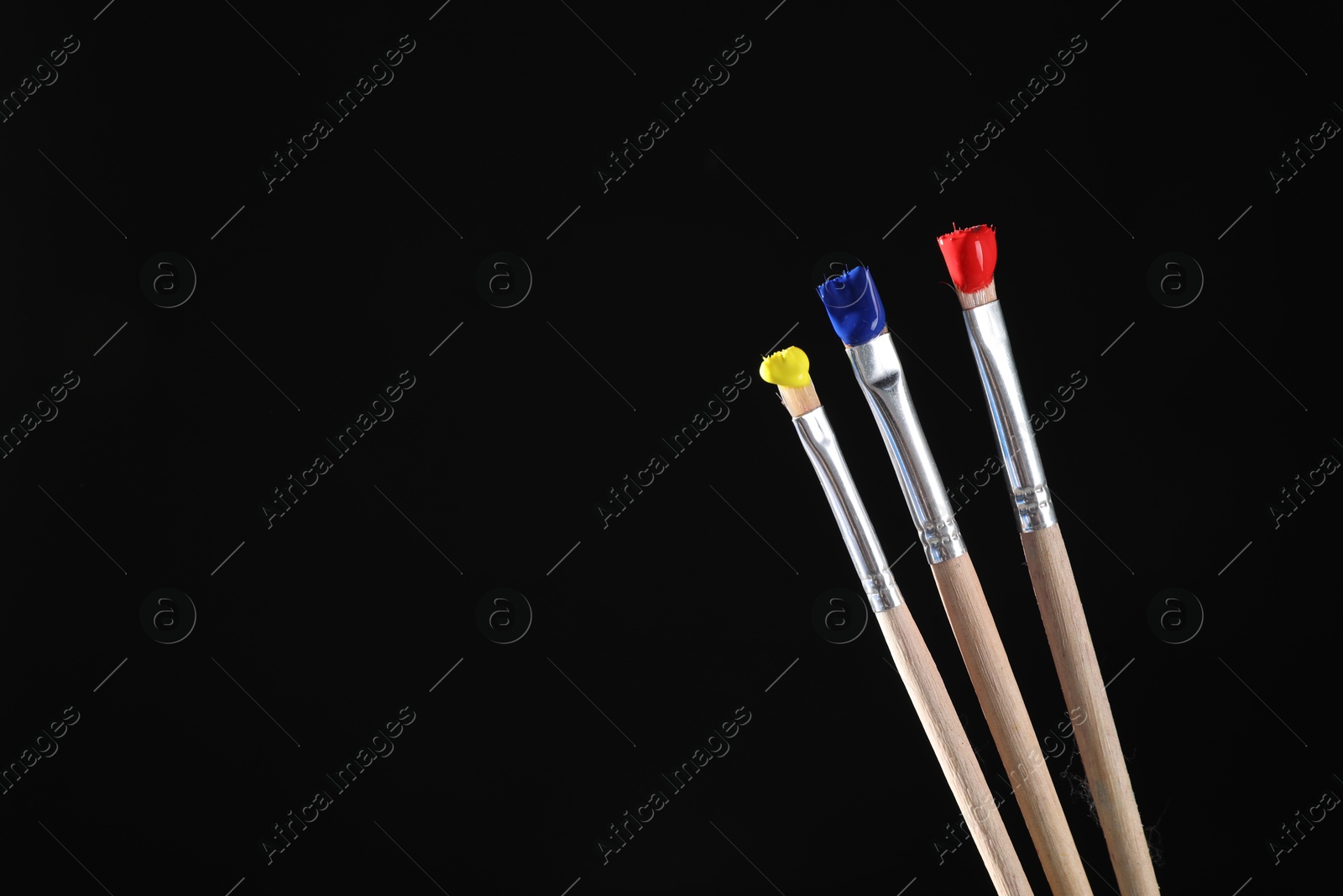 Three brushes with color paints on black background, closeup. Space for text Photo of Three brushes with color paints on black background, closeup. Space for text