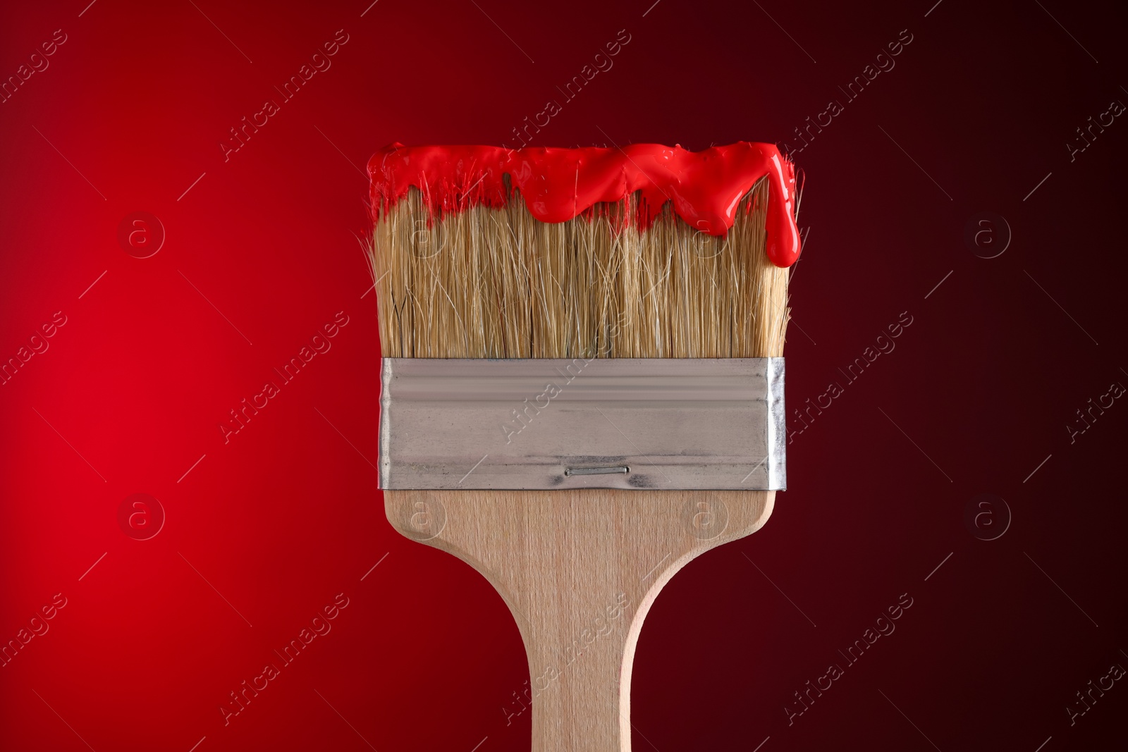 Brush with paint on red background, closeup Photo of Brush with paint on red background, closeup