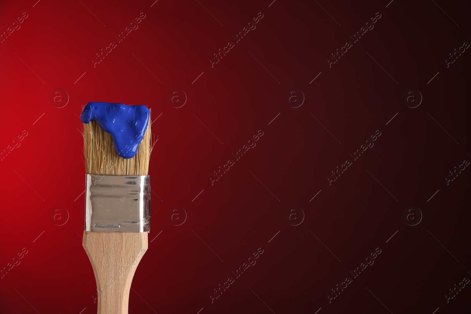 Brush with blue paint on red background, closeup. Space for text Photo of Brush with blue paint on red background, closeup. Space for text
