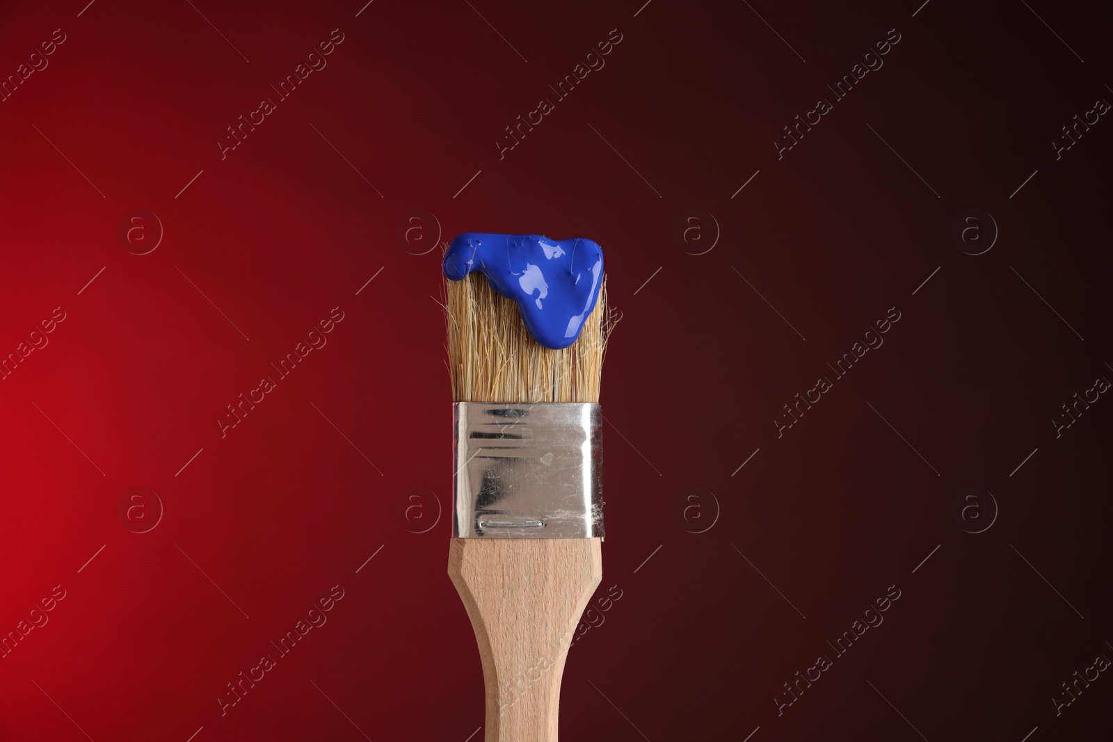 Brush with blue paint on red background, closeup Photo of Brush with blue paint on red background, closeup