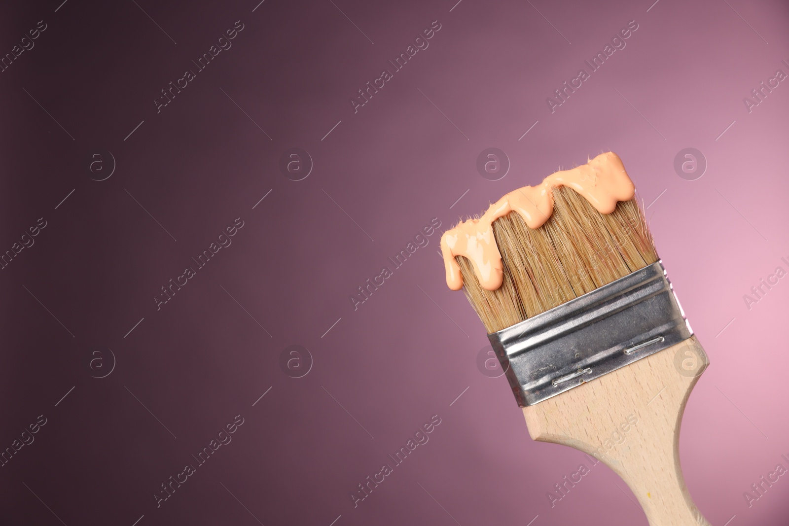 Brush with paint on pink background, closeup. Space for text Photo of Brush with paint on pink background, closeup. Space for text