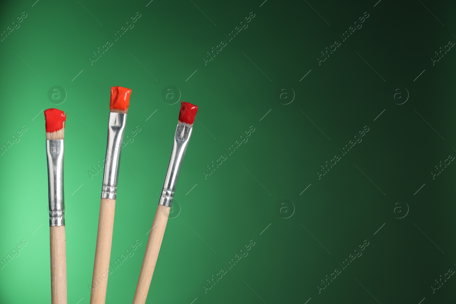 Three brushes with color paints on green background, closeup. Space for text Photo of Three brushes with color paints on green background, closeup. Space for text