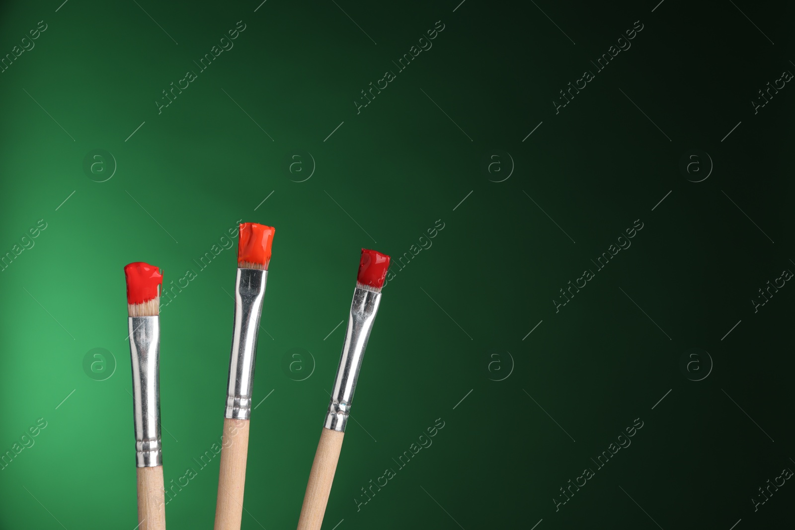 Photo of Three brushes with color paints on green background, closeup. Space for text