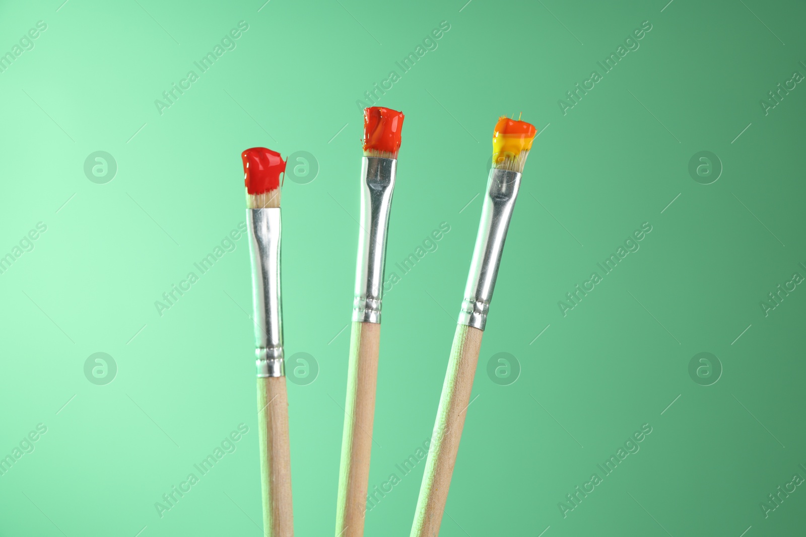 Photo of Three brushes with color paints on light green background, closeup