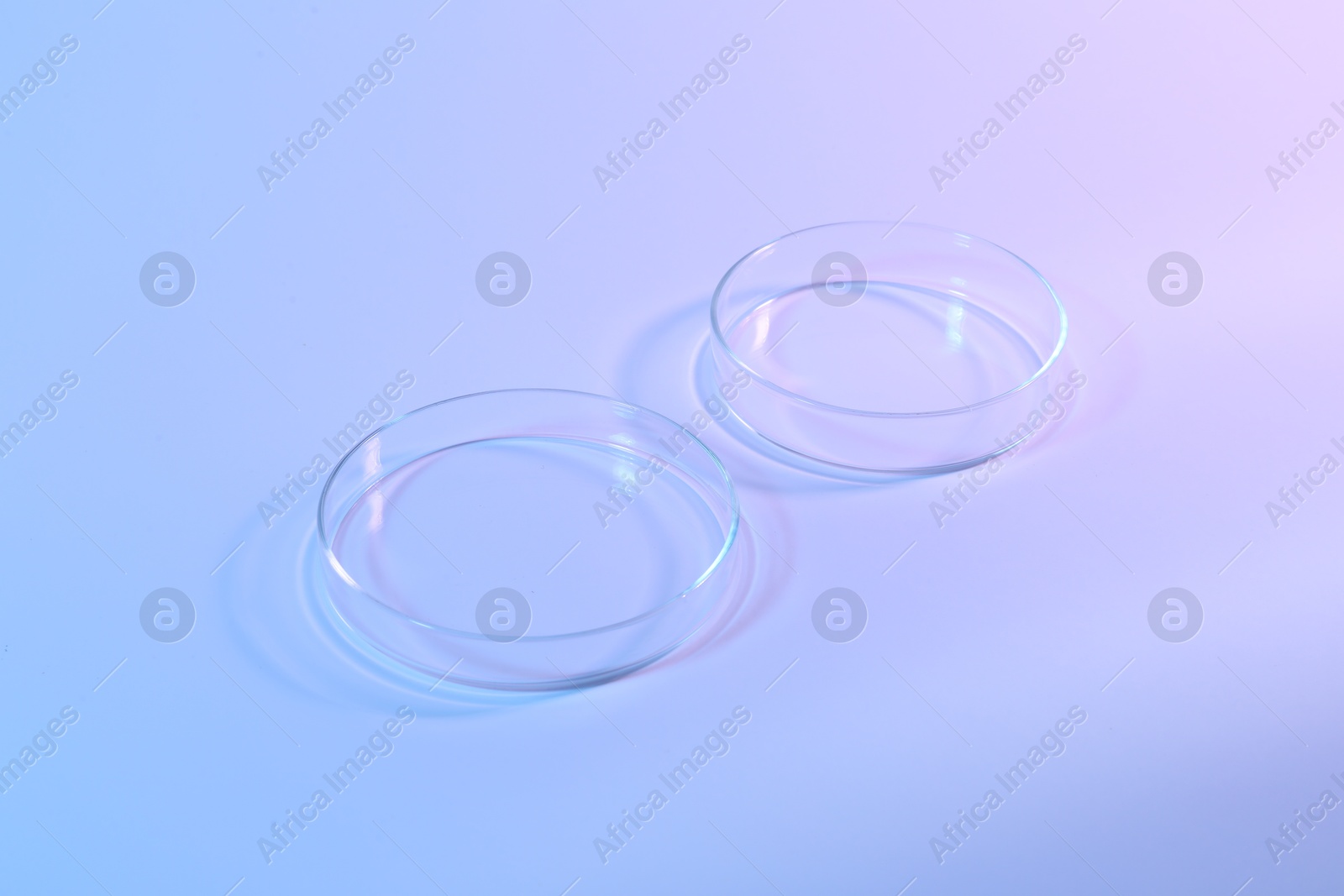 Two empty Petri dishes on light background Photo of Two empty Petri dishes on light background