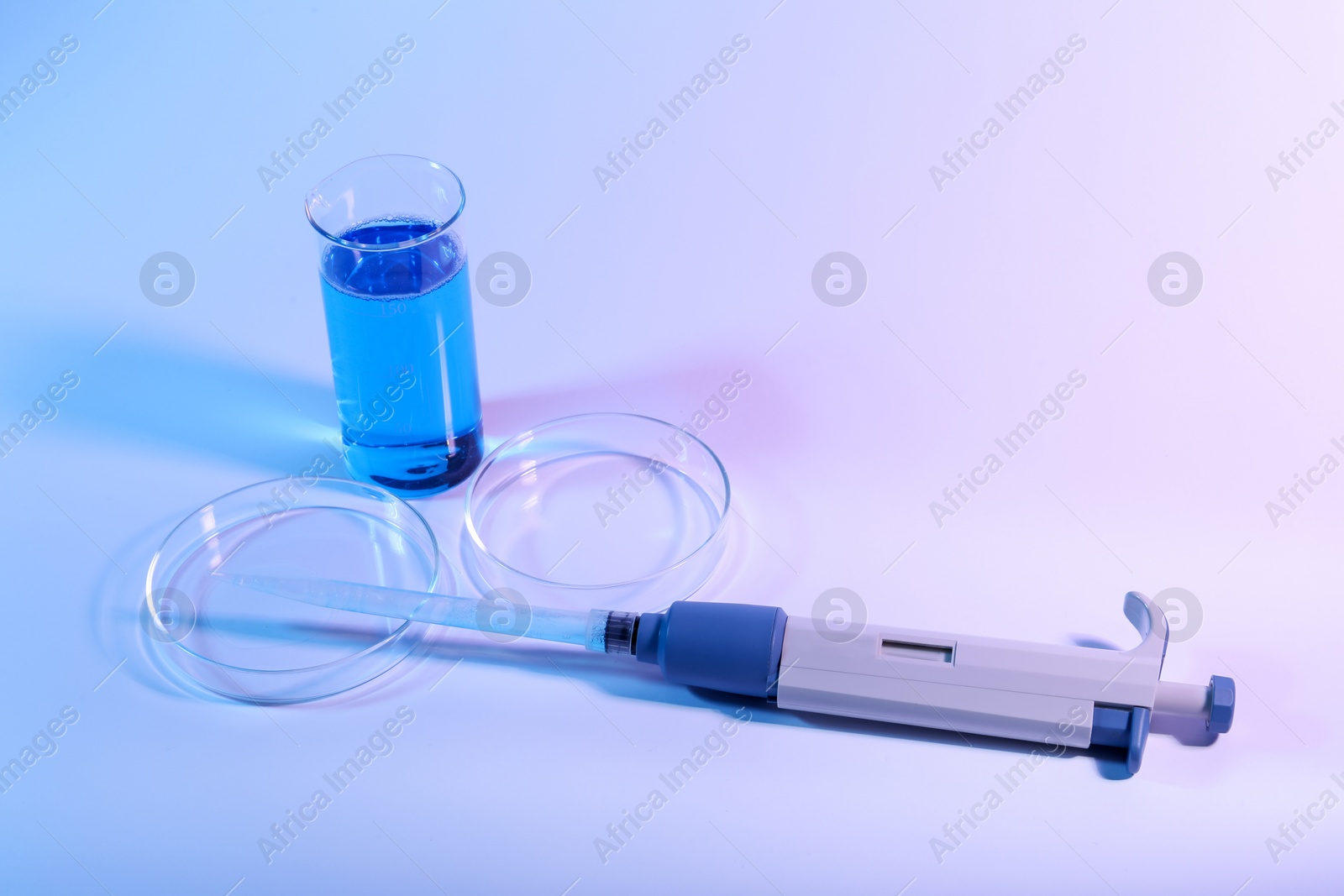 Petri dishes, micropipette and beaker with sample on light background Photo of Petri dishes, micropipette and beaker with sample on light background