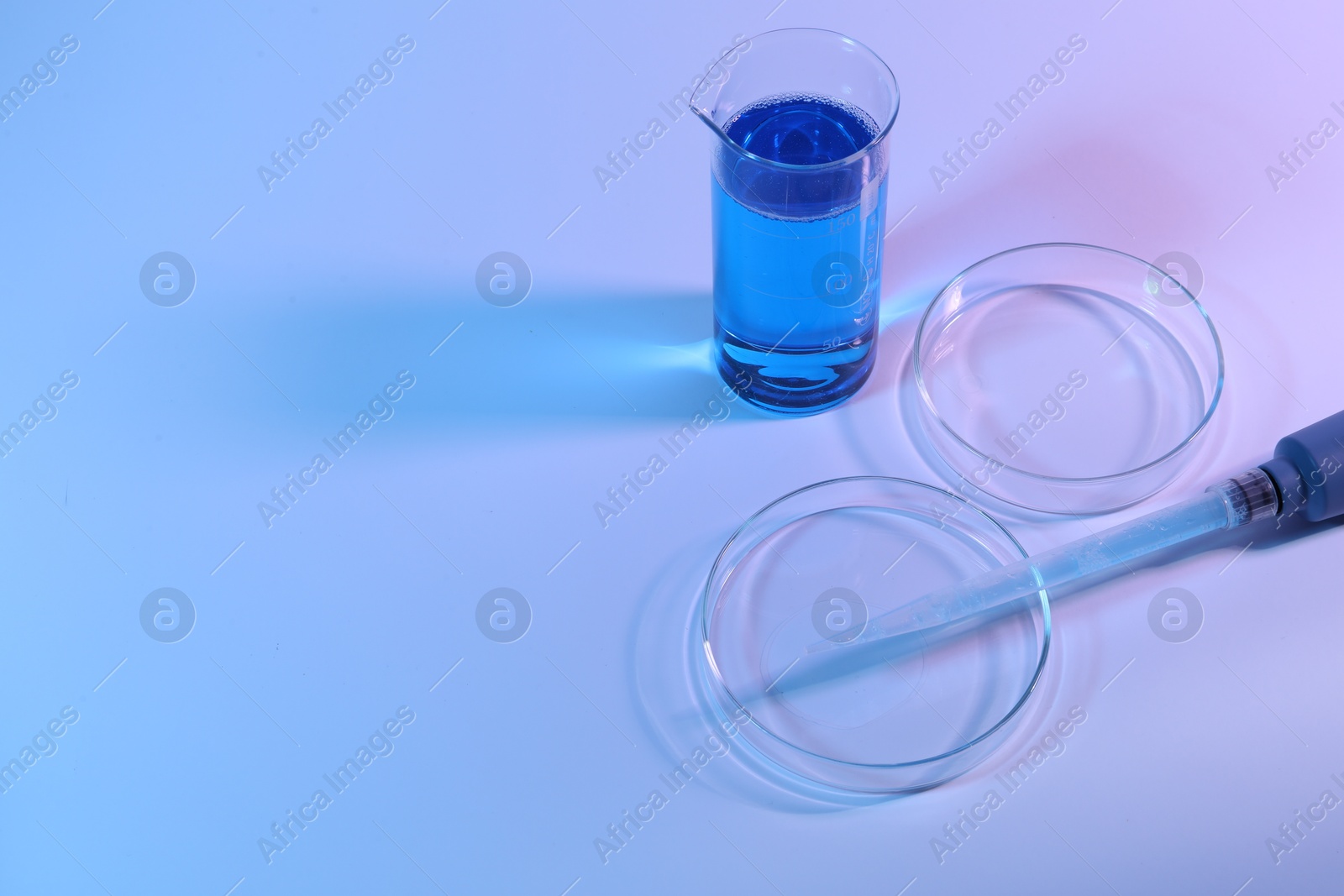 Petri dishes, micropipette and beaker with sample on light background. Space for text Photo of Petri dishes, micropipette and beaker with sample on light background. Space for text