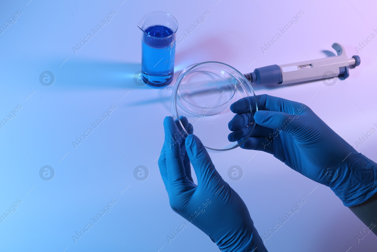 Scientist with Petri dish on light background, closeup Photo of Scientist with Petri dish on light background, closeup