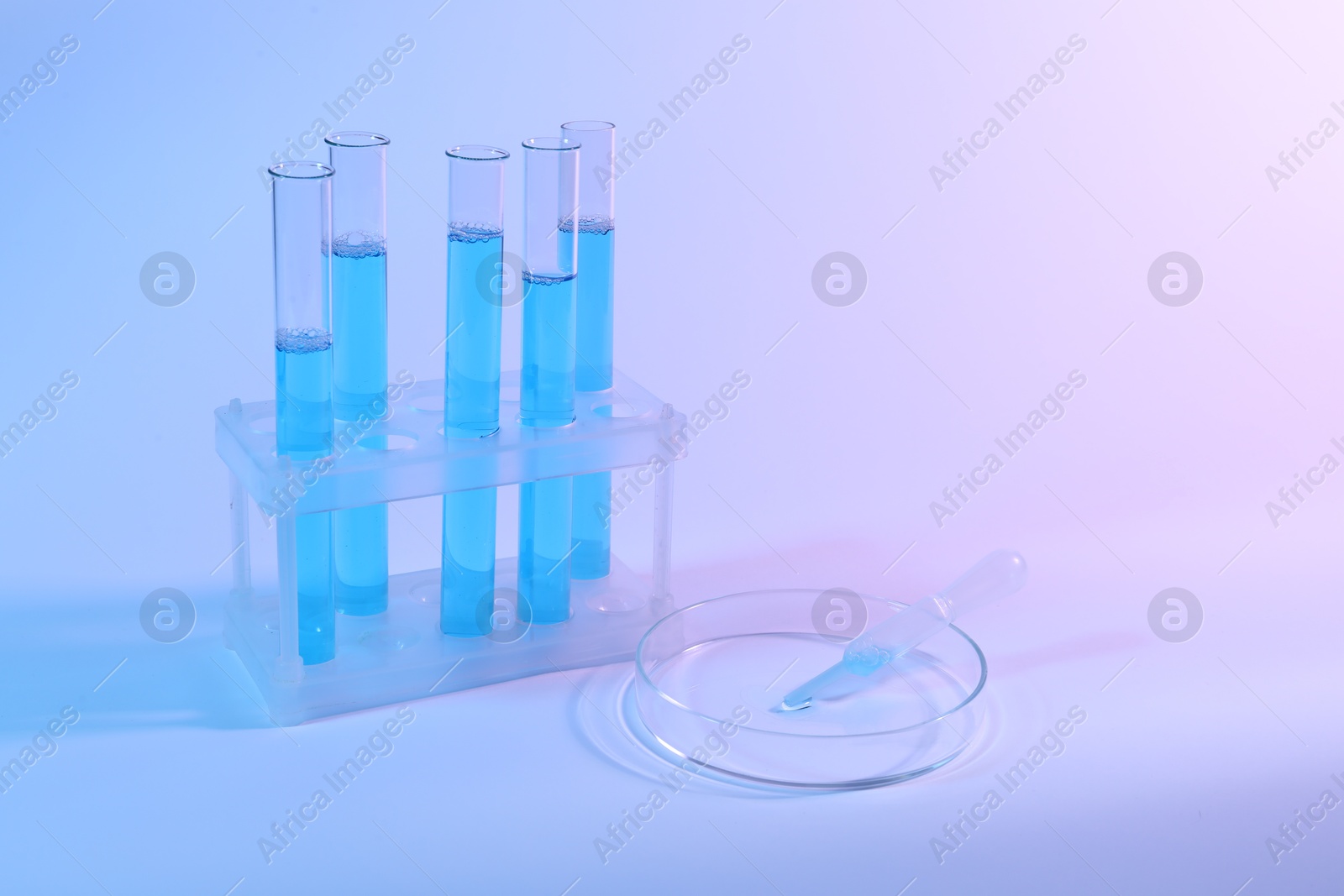 Petri dish with pipette and test tubes on light background. Space for text Photo of Petri dish with pipette and test tubes on light background. Space for text