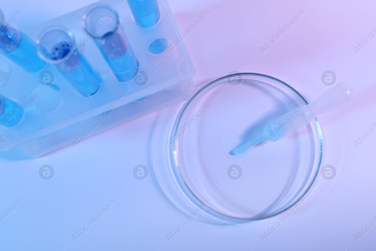Petri dish with pipette and test tubes on light background, top view Photo of Petri dish with pipette and test tubes on light background, top view