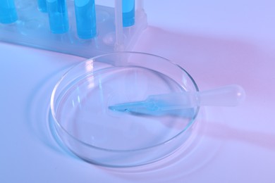 Photo of Petri dish with pipette and test tubes on light background, closeup