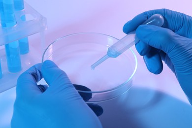 Photo of Scientist taking sample with pipette out of Petri dish on light background, closeup