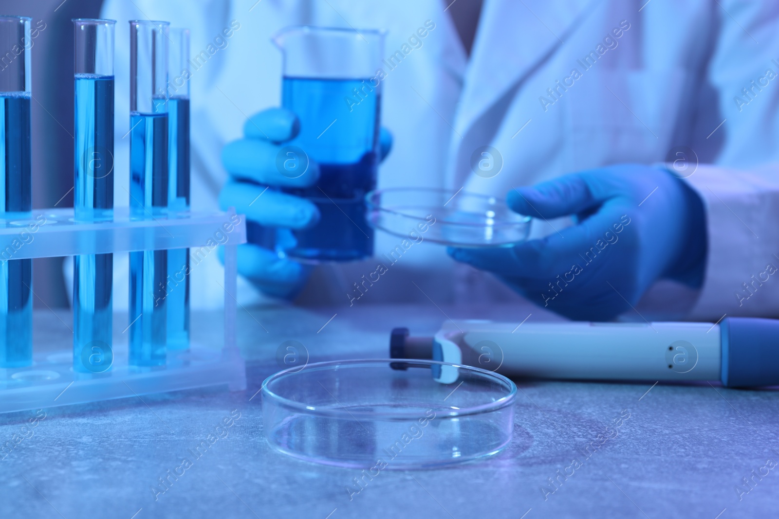 Scientist with Petri dish working at table, closeup Photo of Scientist with Petri dish working at table, closeup