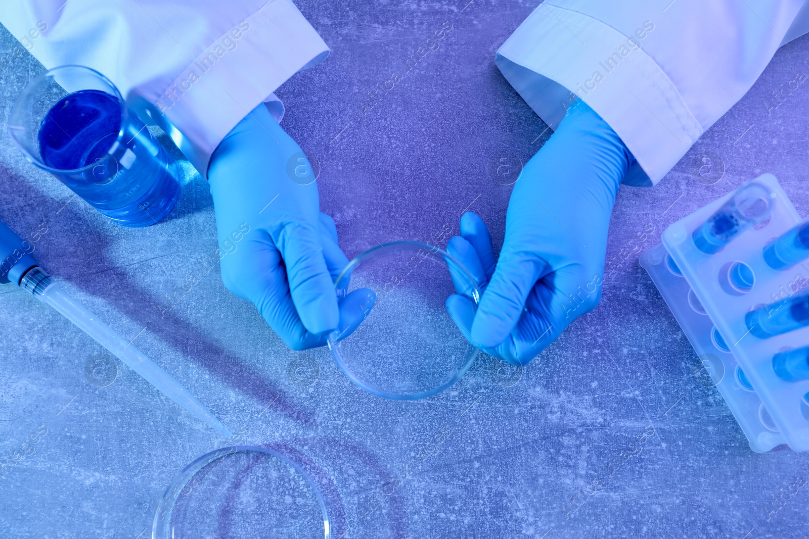 Scientist with Petri dish at table, top view Photo of Scientist with Petri dish at table, top view