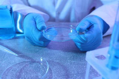 Photo of Scientist with Petri dish at table, closeup