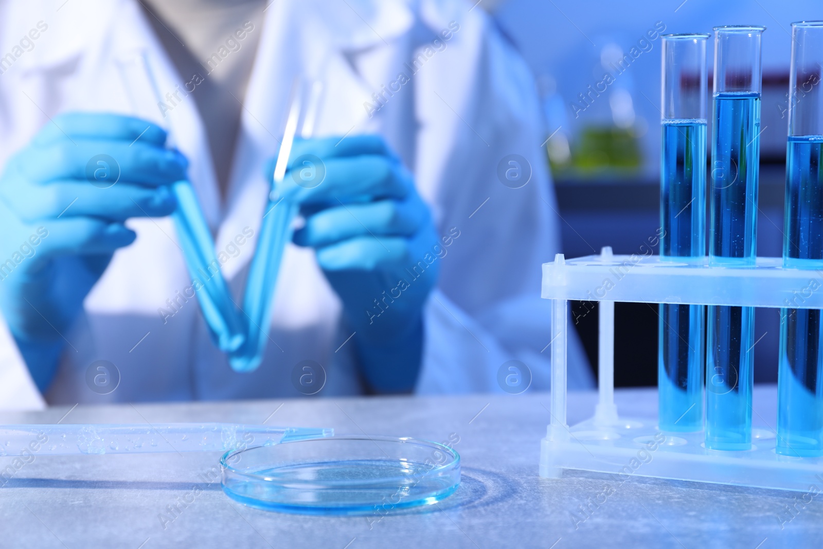 Petri dish and pipette with sample. Scientist working in laboratory, selective focus Photo of Petri dish and pipette with sample. Scientist working in laboratory, selective focus