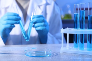 Photo of Petri dish and pipette with sample. Scientist working in laboratory, selective focus