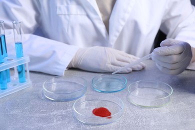 Photo of Scientist with Petri dishes and pipette at table, closeup