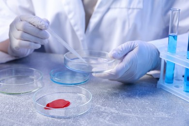 Photo of Scientist with Petri dishes and pipette at table, closeup